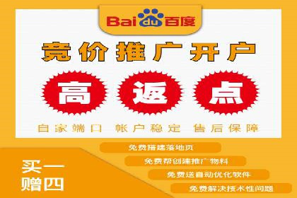 SEM专员案例：数据分析与优化